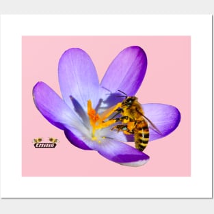 Proud Honey Bee Posters and Art